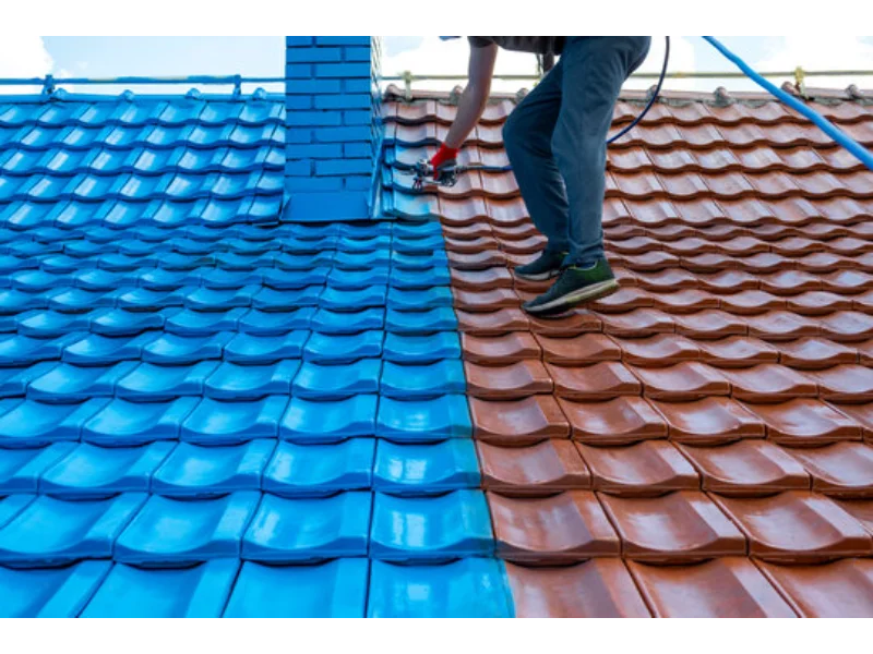 Roof Painting